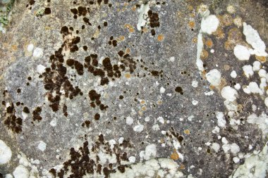 doğal taş kayrak kaba doku