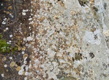 mimari binalardan kaba taş doku parçası