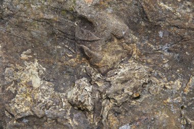 Kireçtaşından yapılmış taş bir duvarın parçası.