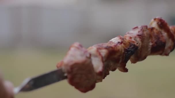 Shish kebab on the skewer — Stock Video