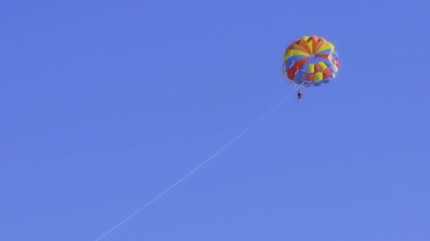 Paraquedas multicoloridos em tempo claro ensolarado — Vídeo de Stock