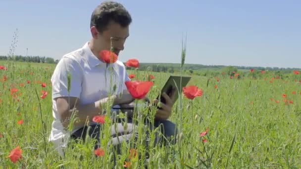 Mn está estudiando flores de amapola en un portátil y pulgar hacia arriba — Vídeos de Stock