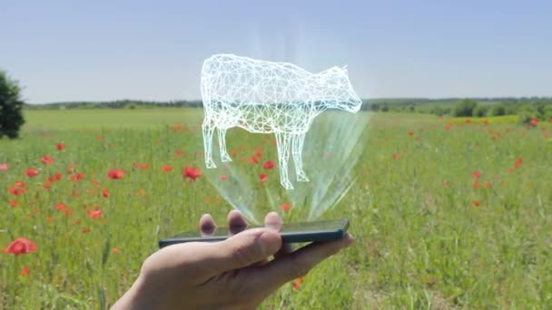 Ολόγραμμα του αγελάδα σε ένα smartphone — Αρχείο Βίντεο
