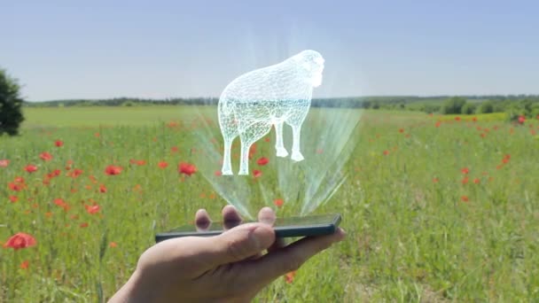 Hologram a juhokat a smartphone — Stock videók