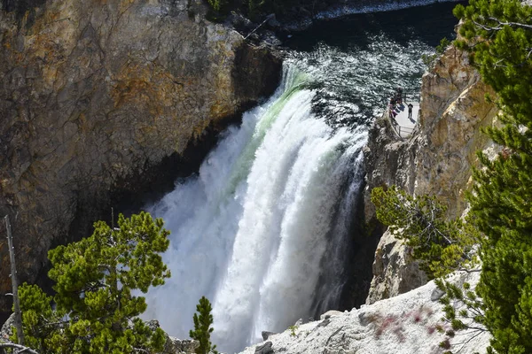 Yellowstone Falls Yellowstone Milli Parkı