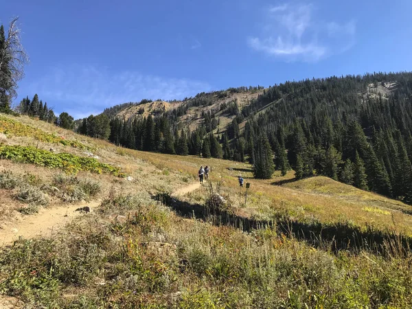 Arı kovanı Havzası Hiking Trail büyük gökyüzü Montana