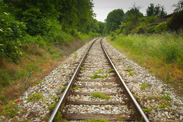 Tren Bir Görünümünü Kırsal Kesimde Raylar — Stok fotoğraf