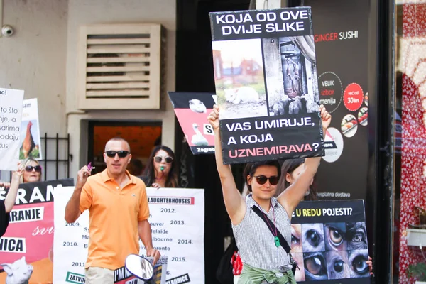 Zagreb Croatia May 2018 People Protesting Animal Exploitation Slaughterhouses Holding — Stock Photo, Image