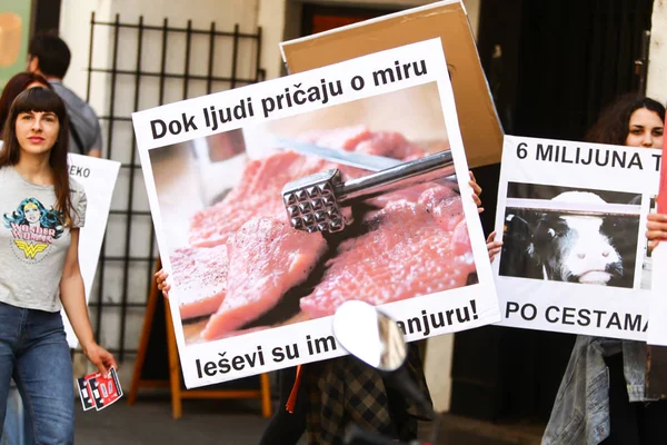 Zagreb Croatia May 2018 People Protesting Animal Exploitation Slaughterhouses Holding — Stock Photo, Image