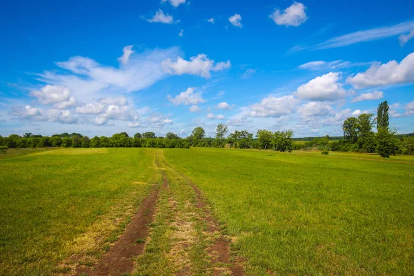 Väg Genom Den Gröna Ängen Intill Floden Bosut Nära Vinkovci — Stockfoto