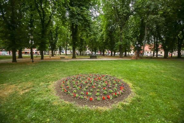 Díszített Virágoskert Tett Egy Kört Városligetben Városközpont Vinkovce Horvátország — Stock Fotó