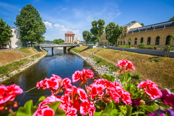 Vista Las Flores Puente Puente Peatonal Sobre Río Vuka Vukovar —  Fotos de Stock