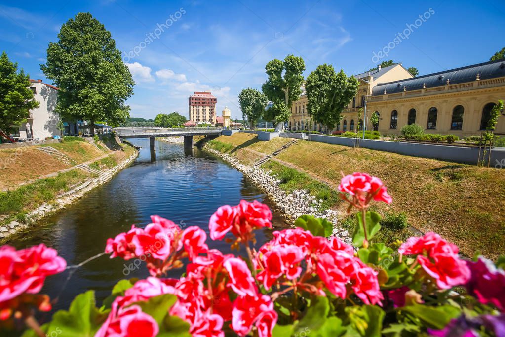 Vista de las flores en el puente y puente peatonal sobre el río Vuka en