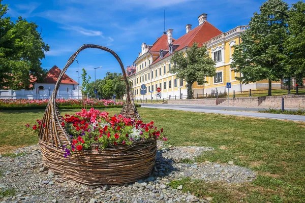 Blick Auf Einen Großen Strohkorb Mit Blumen Einem Park Mit — Stockfoto