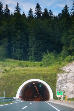Karayolu ile çam ağacı orman, tünel girişine.
