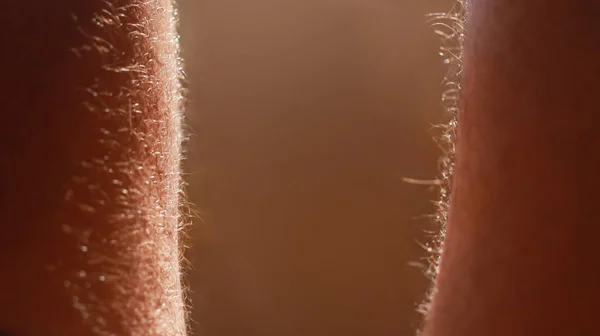 Una Vista Cercana Del Cabello Las Piernas Hombre Adulto — Foto de Stock