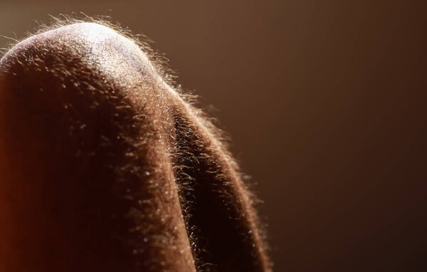 Вид волос на ноге взрослого мужчины
.