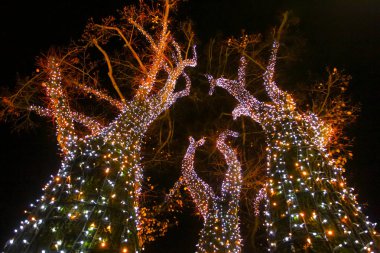 Geceleri ışıklı ornated ağacının bir görünüm.