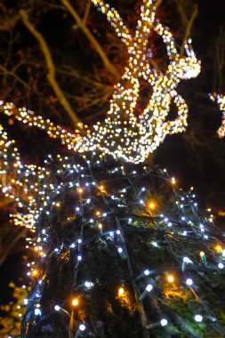 Geceleri ışıklı ornated ağacının bir görünüm.