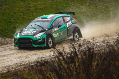 Sveta tepe, Hırvatistan - 25 Kasım 2018. 9 ralli Santa Domenica göster. Ford Fiesta R5 Evo2 Marco Carrara ve Davor Belic yarış.
