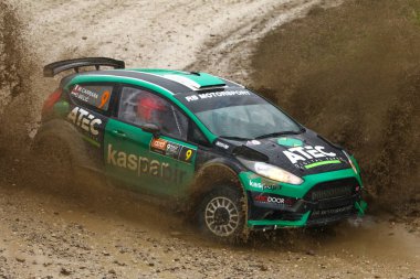 Sveta tepe, Hırvatistan - 25 Kasım 2018. 9 ralli Santa Domenica göster. Ford Fiesta R5 Evo2 Marco Carrara ve Davor Belic yarış.