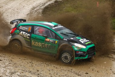 Sveta tepe, Hırvatistan - 25 Kasım 2018. 9 ralli Santa Domenica göster. Ford Fiesta R5 Evo2 Marco Carrara ve Davor Belic yarış.