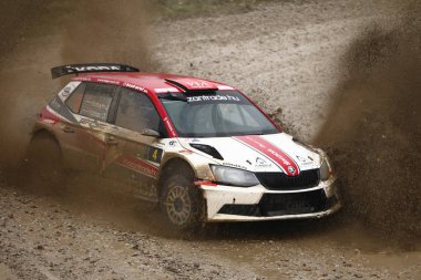 Sveta tepe, Hırvatistan - 25 Kasım 2018. 9 ralli Santa Domenica göster. Janos Balogh ve Daniel Skoda Fabia R5 içinde yarış Holczer kimden Macaristan.