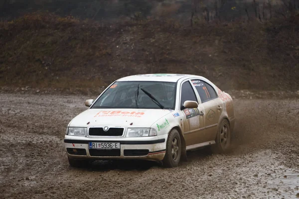 Sveta Nedjelja Kroatien November 2018 Rally Visar Santa Domenica Blazenko — Stockfoto