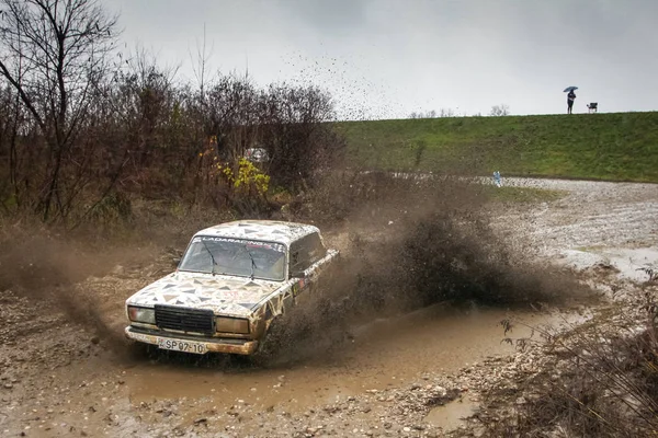 Sveta Nedjelja Croacia Noviembre 2018 Rally Show Santa Domenica Szilard — Foto de Stock