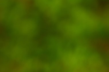 Bulanık bir arka plan yeşil kahverengi ile karışık.