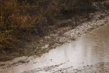 Kırsalda çamurlu bir yolda su birikintisi..