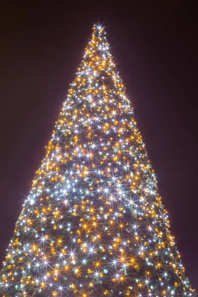 Decorated Illuminating Christmas Tree Night — Stock Photo, Image