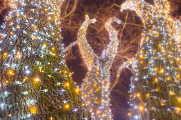 Nízký Úhel Pohledu Zdobený Svítící Strom Noci — Stock fotografie