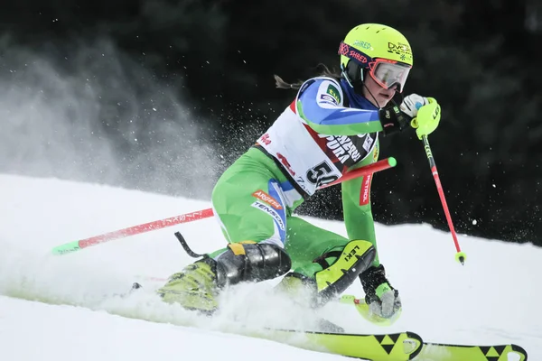 Záhřeb Chorvatsko Leden 2019 Neja Dvornik Slovinska Závodí Audi Fis — Stock fotografie