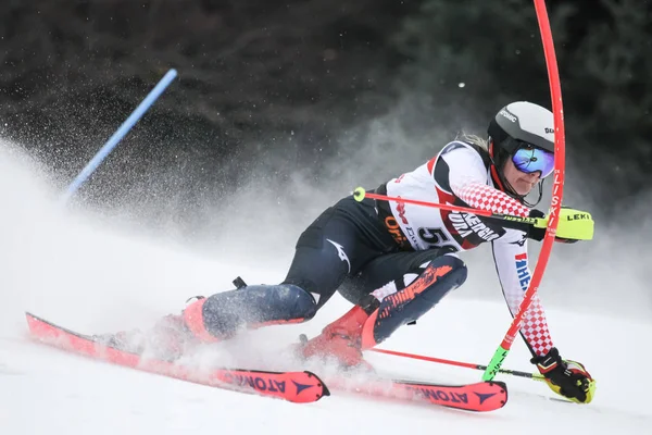 Záhřeb Chorvatsko Ledna 2019 Andrea Komsic Chorvatska Soutěží Během Audi — Stock fotografie