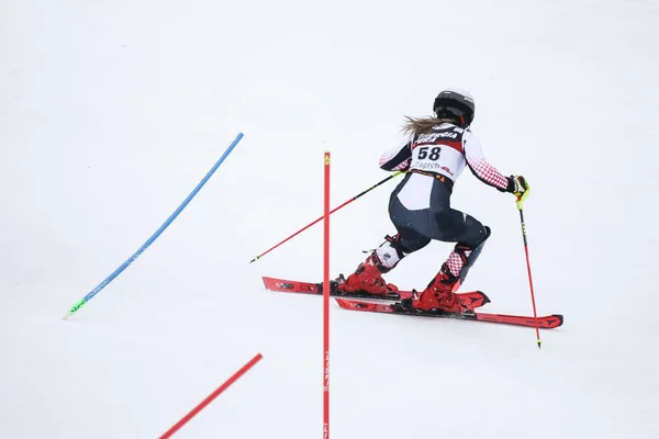 Zagreb Croatia January 2019 Andrea Komsic Croatia Competes Audi Fis — 스톡 사진