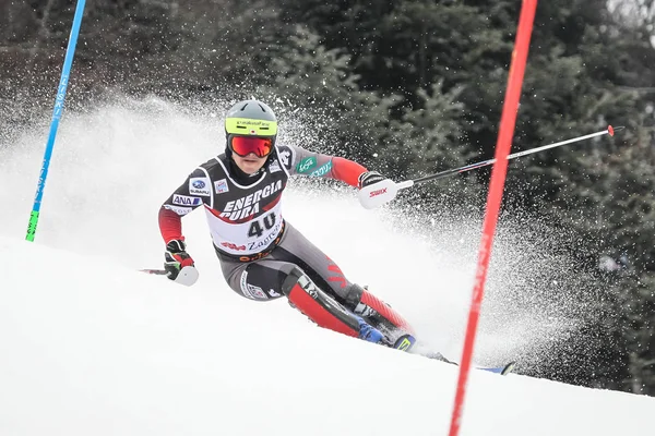 Zagreb Croacia Enero 2019 Hideyuki Narita Japón Compite Durante Audi —  Fotos de Stock