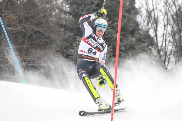 Záhřeb Chorvatsko Ledna 2019 Leon Nikić Chorvatska Soutěží Během Audi — Stock fotografie