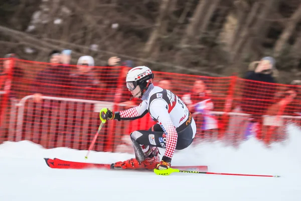 Záhřeb Chorvatsko Ledna 2019 Ištok Rodes Chorvatska Soutěží Během Audi — Stock fotografie