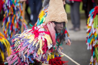 Geleneksel karnaval geçit töreni