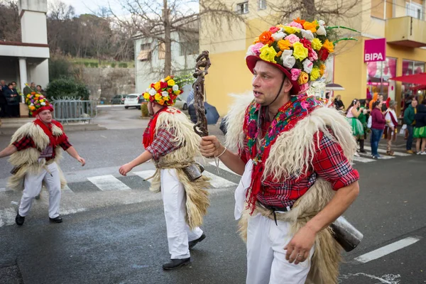 Traditional carnival parade — Stock Photo, Image