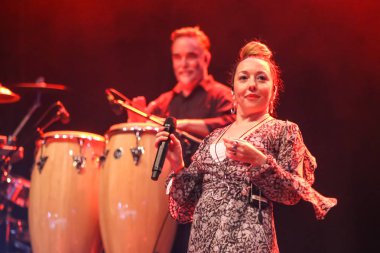 Hırsızlık Şirketi