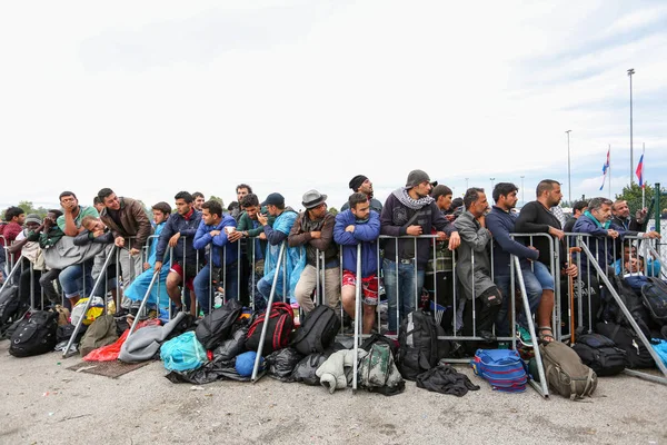 斯洛文尼亚边境的叙利亚难民 — 图库照片