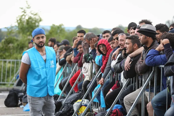 Refugiados sirios en la frontera eslovena — Foto de Stock