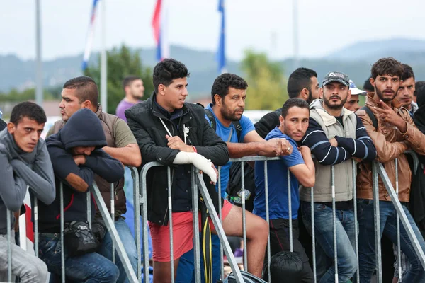 Сирійські біженці на словенському кордоні — стокове фото