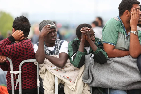 Syrische vluchtelingen aan de Sloveense grens — Stockfoto