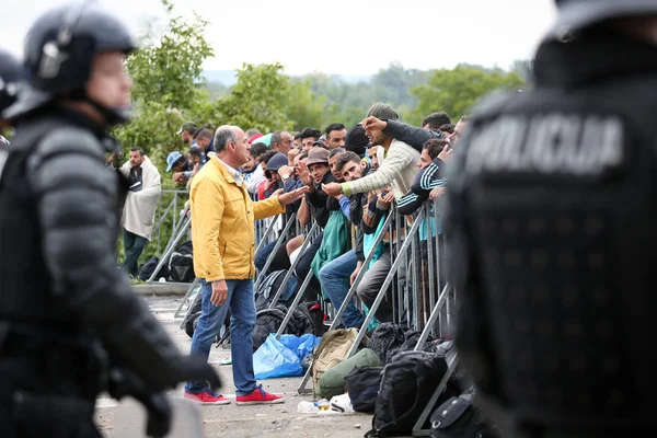 Refugiados sírios na fronteira com a Eslovénia — Fotografia de Stock