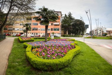 Çiçek alanı