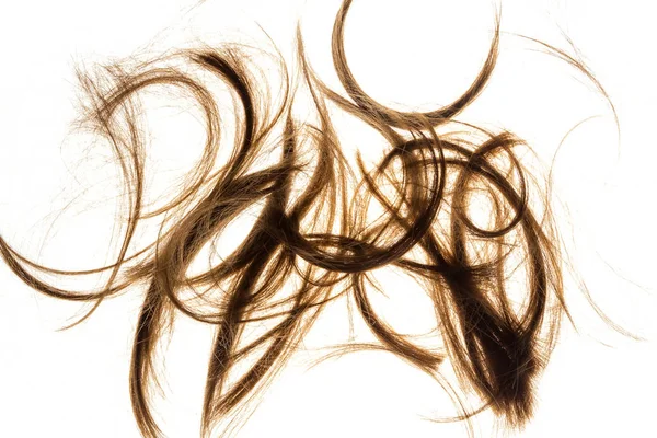 Corte o cabelo da mulher — Fotografia de Stock