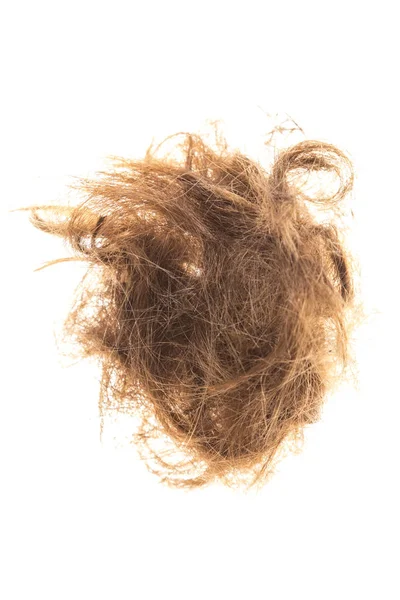 Klipp ut kvinnan hår — Stockfoto